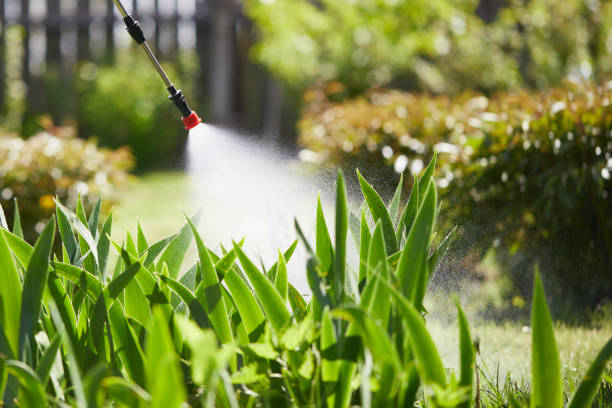 24/7 Emergency Mosquito Control experts in Bridgeport, NY