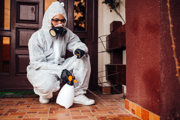 Reliable Mosquito Control contractor in Bridgeport, NY by Show Me Pest Control